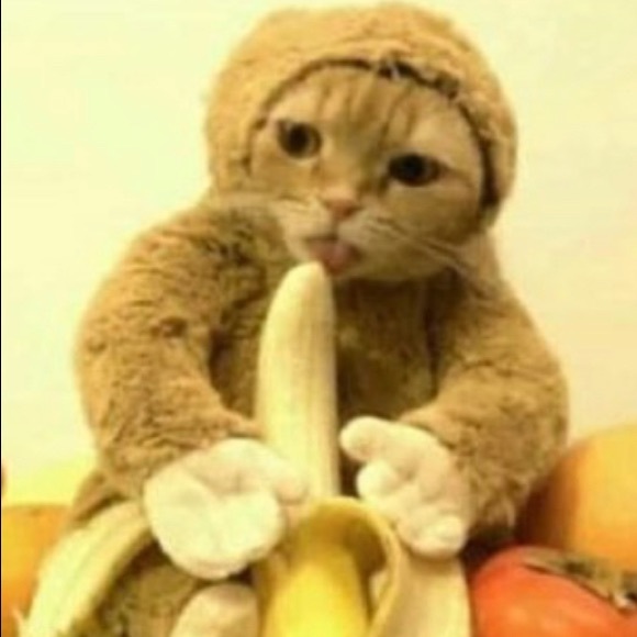 Meet your Posher, Elizabeth - Picture 1 of 1